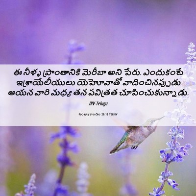 Picture 06 - సంఖ్యాకాండం 20:13 TELIRV - ఈ నీళ్ళ - Bible Verse Picture