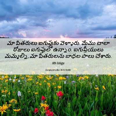 Picture 06 - సంఖ్యాకాండం 20:15 TELIRV - మా పితరులు - Bible Verse Picture