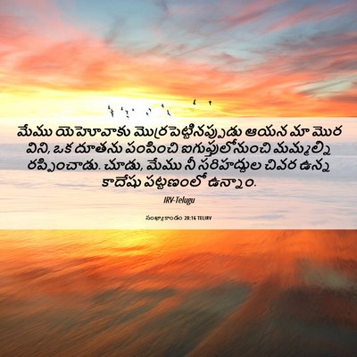 Picture 06 - సంఖ్యాకాండం 20:16 TELIRV - మేము యెహోవాకు - Bible Verse Picture