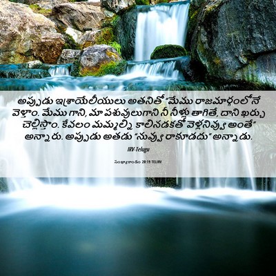 Picture 06 - సంఖ్యాకాండం 20:19 TELIRV - అప్పుడు - Bible Verse Picture