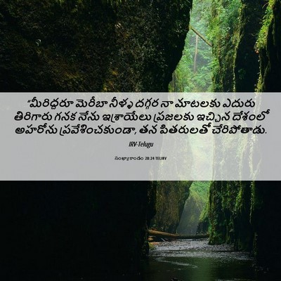 Picture 06 - సంఖ్యాకాండం 20:24 TELIRV - “మీరిద్దరూ మెరీబా - Bible Verse Picture