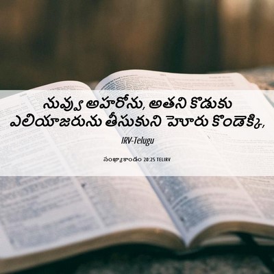 Picture 06 - సంఖ్యాకాండం 20:25 TELIRV - నువ్వు అహరోను, - Bible Verse Picture