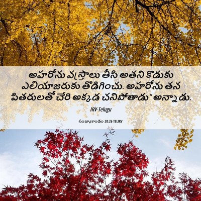 Picture 06 - సంఖ్యాకాండం 20:26 TELIRV - అహరోను వస్త్రాలు - Bible Verse Picture