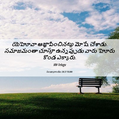 Picture 06 - సంఖ్యాకాండం 20:27 TELIRV - యెహోవా - Bible Verse Picture