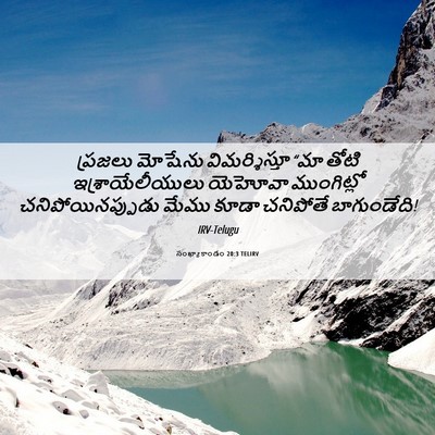 Picture 06 - సంఖ్యాకాండం 20:3 TELIRV - ప్రజలు మోషేను - Bible Verse Picture
