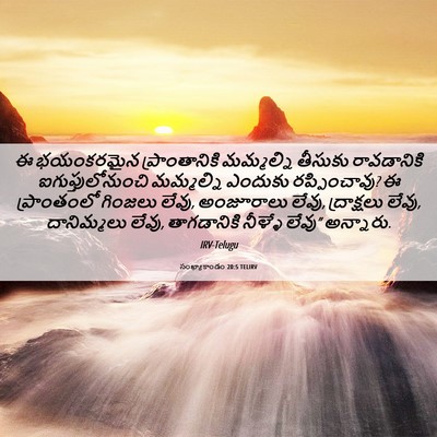Picture 06 - సంఖ్యాకాండం 20:5 TELIRV - ఈ భయంకరమైన - Bible Verse Picture