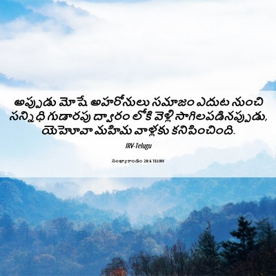 Picture 06 - సంఖ్యాకాండం 20:6 TELIRV - అప్పుడు మోషే - Bible Verse Picture