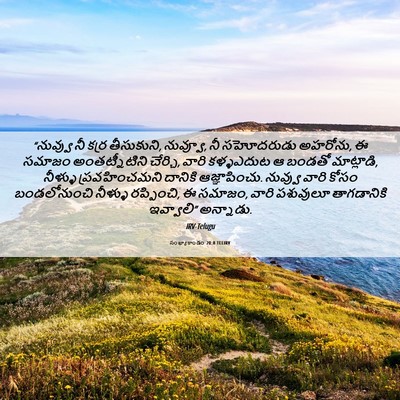 Picture 06 - సంఖ్యాకాండం 20:8 TELIRV - “నువ్వు నీ కర్ర - Bible Verse Picture