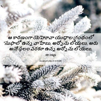 Picture 06 - సంఖ్యాకాండం 21:14 TELIRV - ఆ కారణంగా యెహోవా - Bible Verse Picture