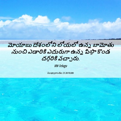 Picture 06 - సంఖ్యాకాండం 21:20 TELIRV - మోయాబు దేశంలోని - Bible Verse Picture