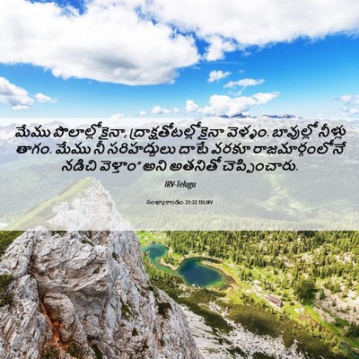 Picture 06 - సంఖ్యాకాండం 21:22 TELIRV - మేము - Bible Verse Picture