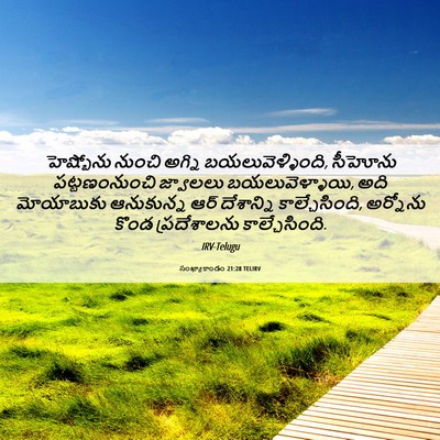 Picture 06 - సంఖ్యాకాండం 21:28 TELIRV - హెష్బోను నుంచి - Bible Verse Picture