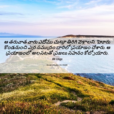 Picture 06 - సంఖ్యాకాండం 21:4 TELIRV - ఆ తరువాత వారు - Bible Verse Picture