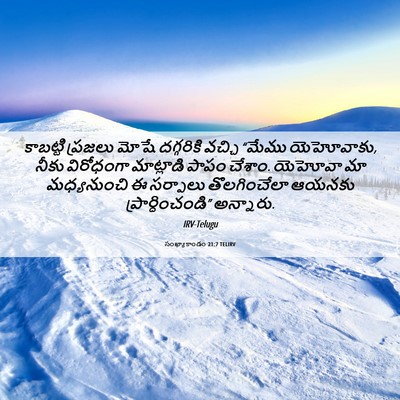 Picture 06 - సంఖ్యాకాండం 21:7 TELIRV - కాబట్టి ప్రజలు - Bible Verse Picture