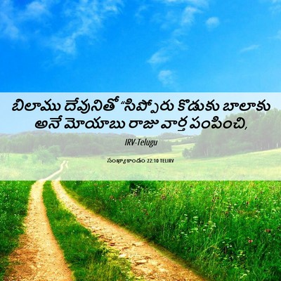 Picture 06 - సంఖ్యాకాండం 22:10 TELIRV - బిలాము దేవునితో - Bible Verse Picture