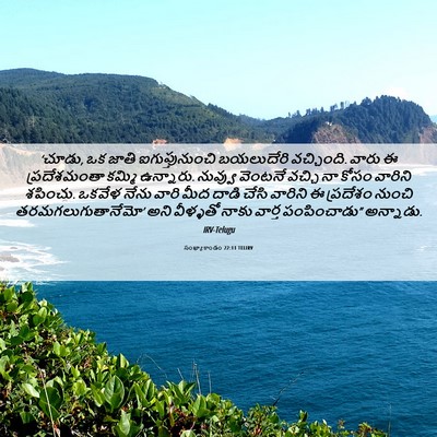 Picture 06 - సంఖ్యాకాండం 22:11 TELIRV - ‘చూడు, ఒక జాతి - Bible Verse Picture