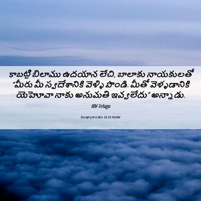 Picture 06 - సంఖ్యాకాండం 22:13 TELIRV - కాబట్టి బిలాము - Bible Verse Picture