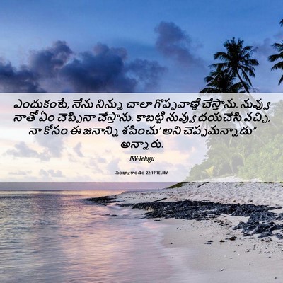 Picture 06 - సంఖ్యాకాండం 22:17 TELIRV - ఎందుకంటే, నేను - Bible Verse Picture