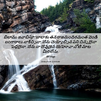 Picture 06 - సంఖ్యాకాండం 22:18 TELIRV - బిలాము జవాబిస్తూ - Bible Verse Picture