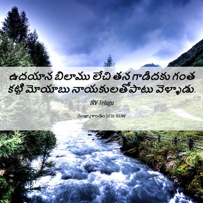 Picture 06 - సంఖ్యాకాండం 22:21 TELIRV - ఉదయాన బిలాము లేచి - Bible Verse Picture