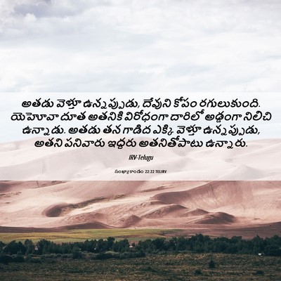 Picture 06 - సంఖ్యాకాండం 22:22 TELIRV - అతడు వెళ్తూ - Bible Verse Picture