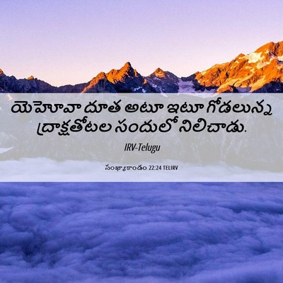 Picture 06 - సంఖ్యాకాండం 22:24 TELIRV - యెహోవా దూత అటూ ఇటూ - Bible Verse Picture