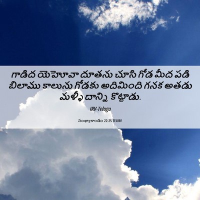 Picture 06 - సంఖ్యాకాండం 22:25 TELIRV - గాడిద యెహోవా - Bible Verse Picture