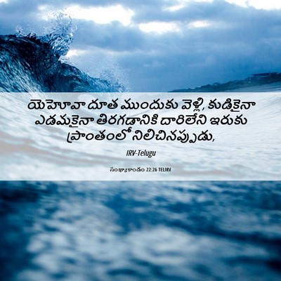 Picture 06 - సంఖ్యాకాండం 22:26 TELIRV - యెహోవా దూత - Bible Verse Picture