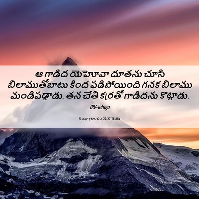 Picture 06 - సంఖ్యాకాండం 22:27 TELIRV - ఆ గాడిద యెహోవా - Bible Verse Picture