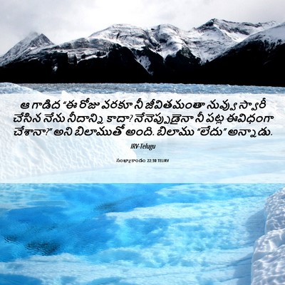 Picture 06 - సంఖ్యాకాండం 22:30 TELIRV - ఆ గాడిద “ఈ రోజు - Bible Verse Picture