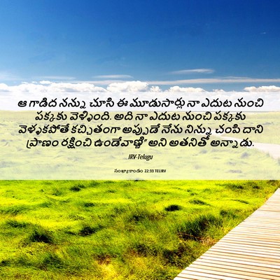 Picture 06 - సంఖ్యాకాండం 22:33 TELIRV - ఆ గాడిద నన్ను చూసి - Bible Verse Picture