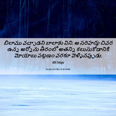 Picture 06 - సంఖ్యాకాండం 22:36 TELIRV - బిలాము వచ్చాడని - Bible Verse Picture