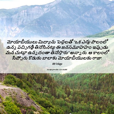 Picture 06 - సంఖ్యాకాండం 22:4 TELIRV - మోయాబీయులు - Bible Verse Picture