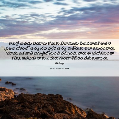 Picture 06 - సంఖ్యాకాండం 22:5 TELIRV - కాబట్టి అతడు - Bible Verse Picture