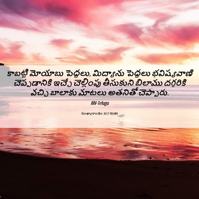 Picture 06 - సంఖ్యాకాండం 22:7 TELIRV - కాబట్టి మోయాబు - Bible Verse Picture