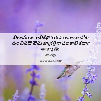 Picture 06 - సంఖ్యాకాండం 23:12 TELIRV - బిలాము జవాబిస్తూ - Bible Verse Picture