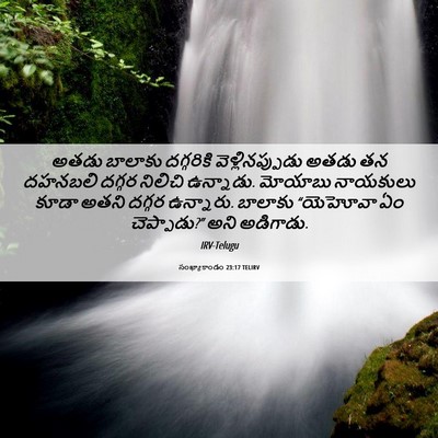 Picture 06 - సంఖ్యాకాండం 23:17 TELIRV - అతడు బాలాకు - Bible Verse Picture