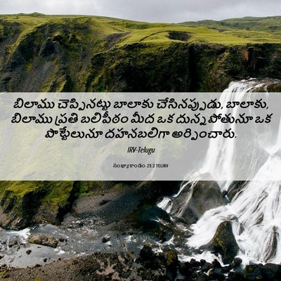 Picture 06 - సంఖ్యాకాండం 23:2 TELIRV - బిలాము - Bible Verse Picture