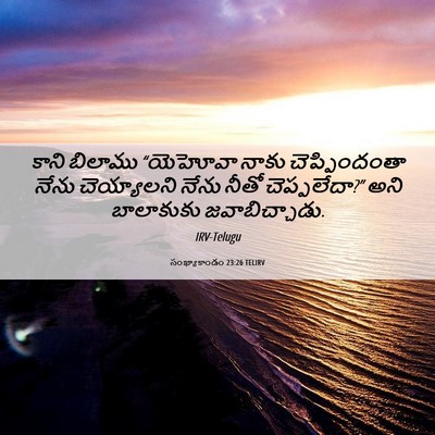 Picture 06 - సంఖ్యాకాండం 23:26 TELIRV - కాని బిలాము - Bible Verse Picture