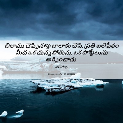 Picture 06 - సంఖ్యాకాండం 23:30 TELIRV - బిలాము - Bible Verse Picture
