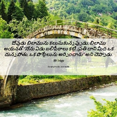 Picture 06 - సంఖ్యాకాండం 23:4 TELIRV - దేవుడు బిలామును - Bible Verse Picture