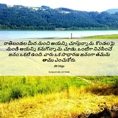 Picture 06 - సంఖ్యాకాండం 23:9 TELIRV - రాతిబండల మీద - Bible Verse Picture