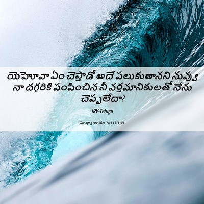 Picture 06 - సంఖ్యాకాండం 24:13 TELIRV - యెహోవా ఏం - Bible Verse Picture