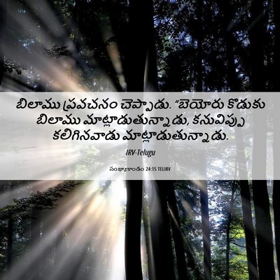 Picture 06 - సంఖ్యాకాండం 24:15 TELIRV - బిలాము ప్రవచనం - Bible Verse Picture