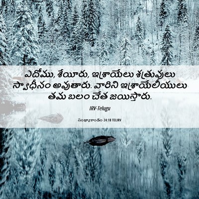 Picture 06 - సంఖ్యాకాండం 24:18 TELIRV - ఎదోము, శేయీరు, - Bible Verse Picture