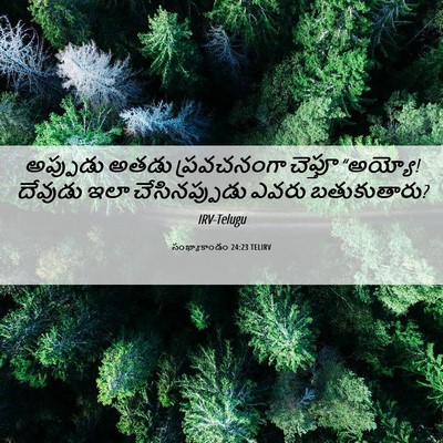 Picture 06 - సంఖ్యాకాండం 24:23 TELIRV - అప్పుడు అతడు - Bible Verse Picture