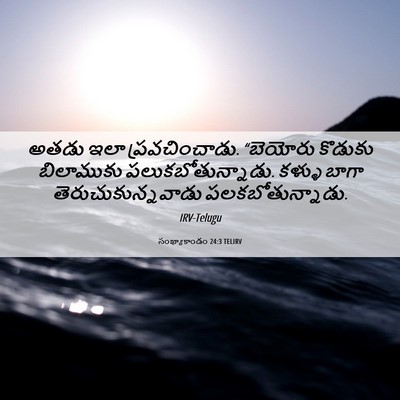 Picture 06 - సంఖ్యాకాండం 24:3 TELIRV - అతడు ఇలా - Bible Verse Picture