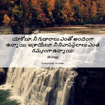 Picture 06 - సంఖ్యాకాండం 24:5 TELIRV - యాకోబూ, నీ - Bible Verse Picture