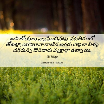 Picture 06 - సంఖ్యాకాండం 24:6 TELIRV - అవి లోయలు - Bible Verse Picture
