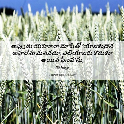 Picture 06 - సంఖ్యాకాండం 25:10 TELIRV - అప్పుడు యెహోవా - Bible Verse Picture